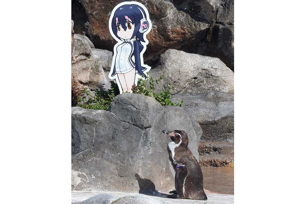 Grape-kun yang sakit hati menemukan penghiburan di Hululu dan sering menghabiskan waktu untuk menatap serta duduk di sampingnya.