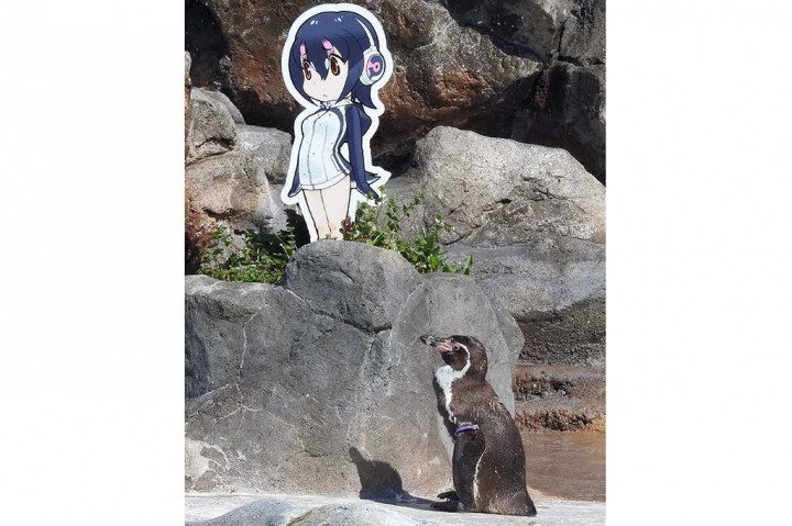 Grape-kun yang sakit hati menemukan penghiburan di Hululu dan sering menghabiskan waktu untuk menatap serta duduk di sampingnya.