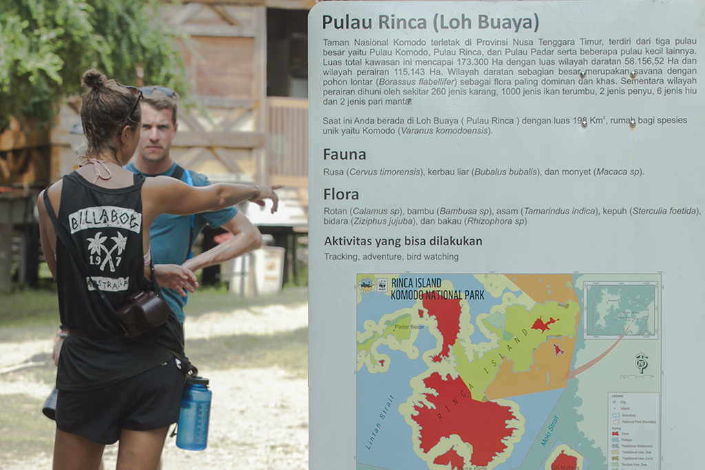 Selain Pulau Komodo wisatawan juga dapat melihat kadal raksasa di Pulau Rinca, pulau yang merupakan bagian dari Situs Warisan Dunia UNESCO. 