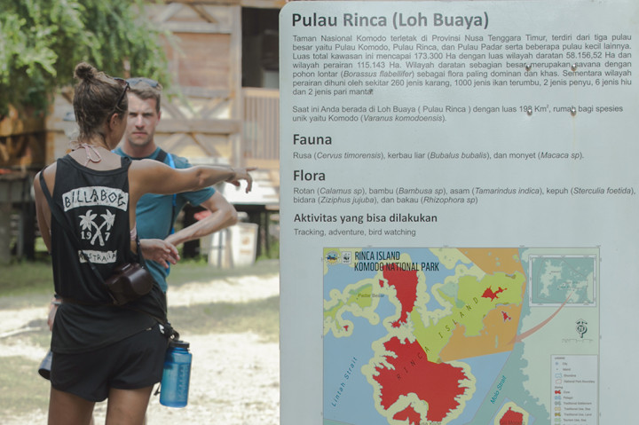 Selain Pulau Komodo wisatawan juga dapat melihat kadal raksasa di Pulau Rinca, pulau yang merupakan bagian dari Situs Warisan Dunia UNESCO. 