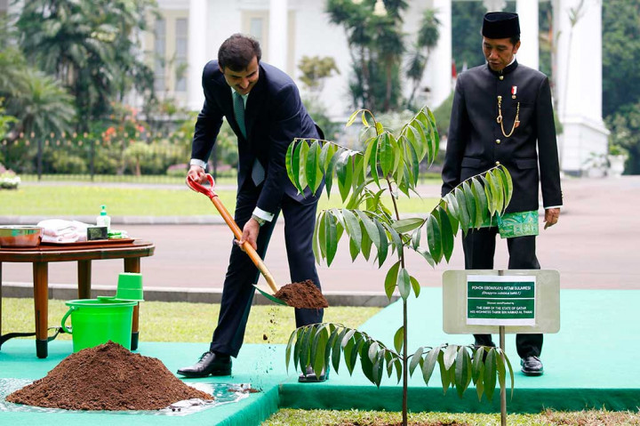 Sheikh Tamim menanam pohon eboni atau kayu hitam Sulawesi di halaman belakang istana yang menghadap ke Kebun Raya Bogor sebagai tanda persahabatan kedua negara. Pohon itu diharapkan tumbuh dan melambangkan kuatnya hubungan Indonesia-Qatar.