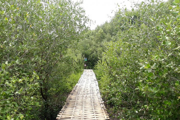 Hutan Mangrove Karangsong berada di Desa Karangsong, Kabupaten Indramayu, Jawa Barat.
