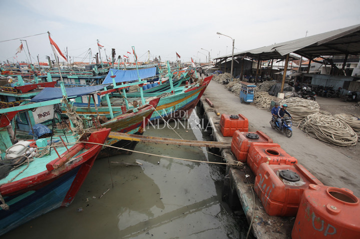 Emmy yang juga aktivis lingkungan hidup menilai kebijakan pelarangan penggunaan cantrang oleh Kementerian Kelautan dan Perikanan (KKP) tidak melihat dampak sosial dan ekonomi yang akan dialami oleh masyarakat luas.