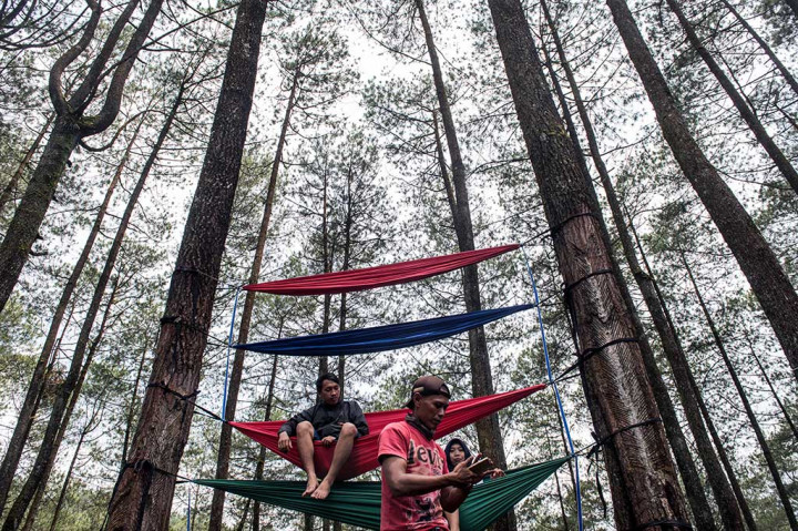 Wisatawan menikmati wahana wisata tempat tidur gantung (hammock) di hutan pinus pal 16, Cikole, Lembang, Kabupaten Bandung Barat.
