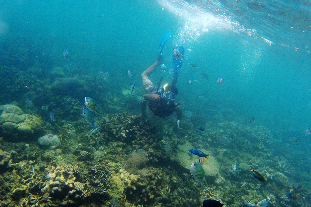 Kawasan pulau ini menawarkan kekayaan hayati dan pesona alam bawah laut. 
