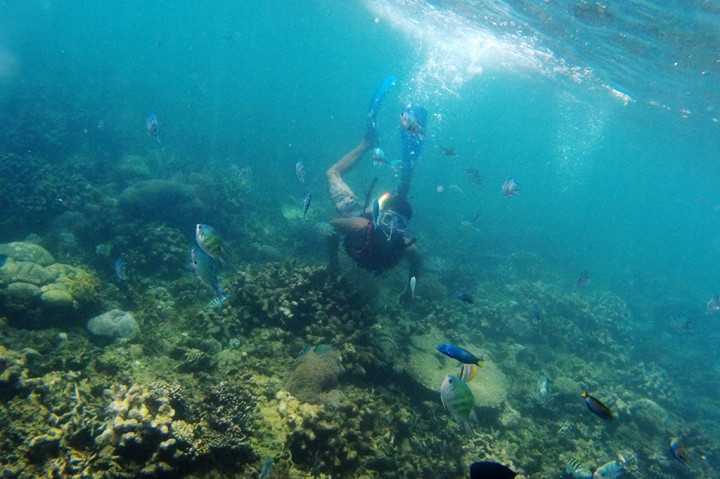 Kawasan pulau ini menawarkan kekayaan hayati dan pesona alam bawah laut. 
