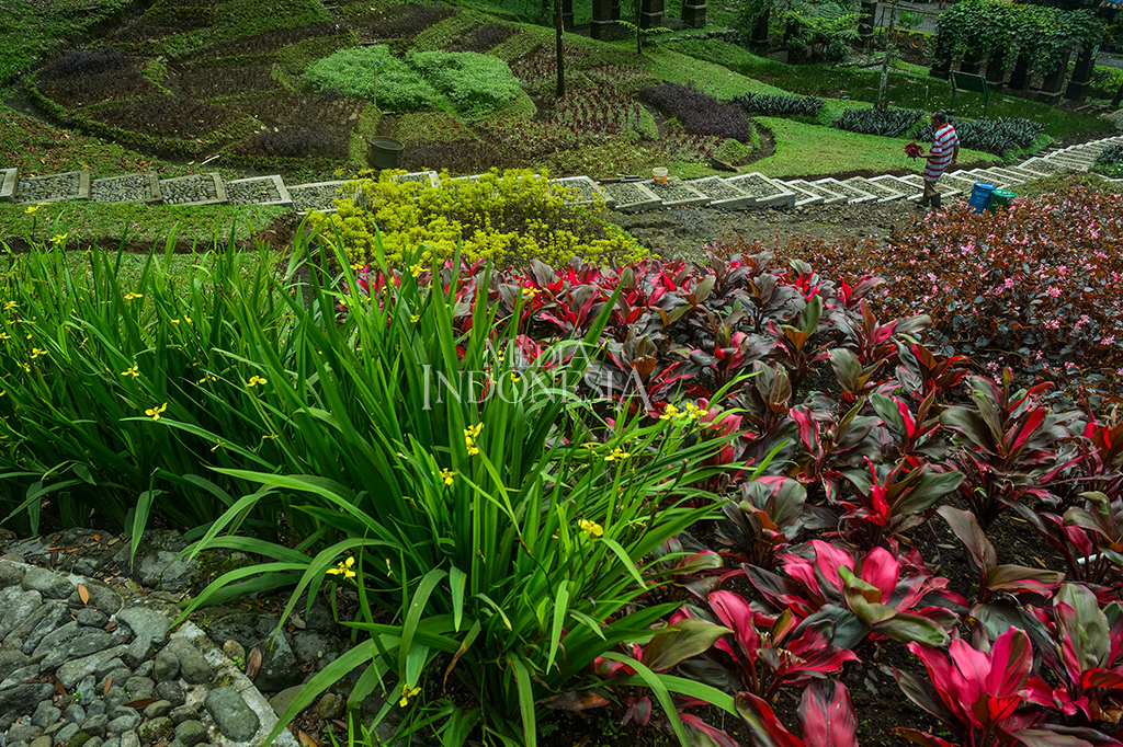 Salah satu taman di areal Kebun Raya Baturaden.