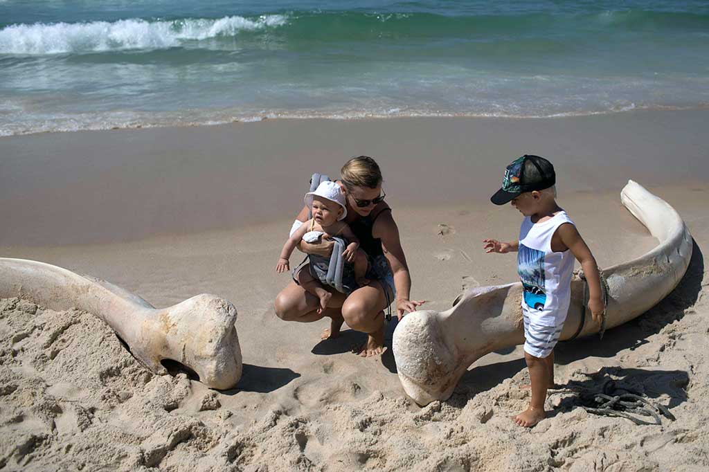 Pengunjung pantai menyentuh tulang rahang paus yang terlepas dan terhempas di pasir.