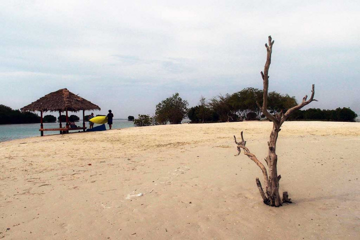 Pantai Pasir Perawan merupakan destinasi andalan wisata Pulau Pari. Posisinya terlindung oleh Pulau Burung dan gugusan pohon mangrove yang sangat menguntungkan untuk menjaga dari proses abrasi.