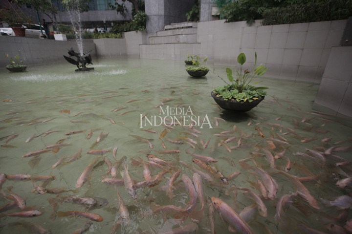 Wakil Gubernur Sandiaga Uno mengatakan ini merupakan langkah untuk menjaga dan merawat aset negara. Kolam yang direhabilitasi juga akan menjadi daya tarik kompleks DPRD.