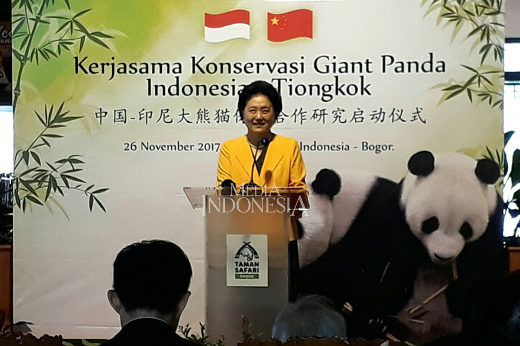 Dalam sambutannya, Liu menyebut Giant Panda adalah duta persahabatan. Ia berharap kehadiran Giant Panda di Taman Safari Indonesia dapat memperdekat jarak hati Indonesia dan Tiongkok. 