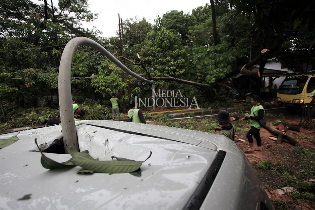 Tiang lampu itu kemudian jatuh menimpa sebuah mobil Toyota Alphard.