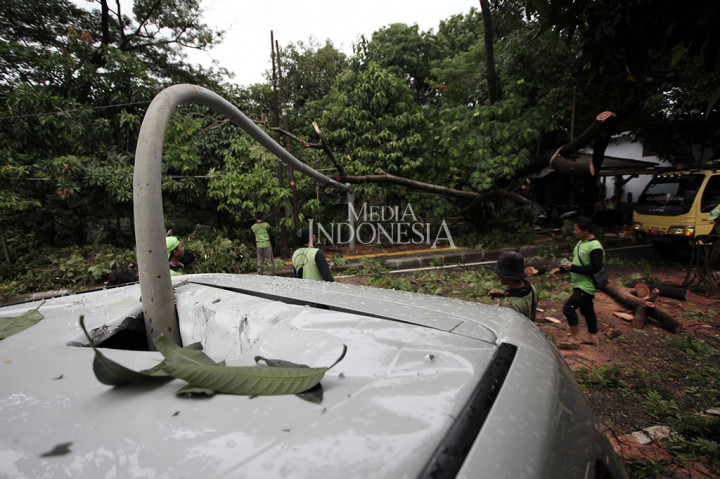 Tiang lampu itu kemudian jatuh menimpa sebuah mobil Toyota Alphard.