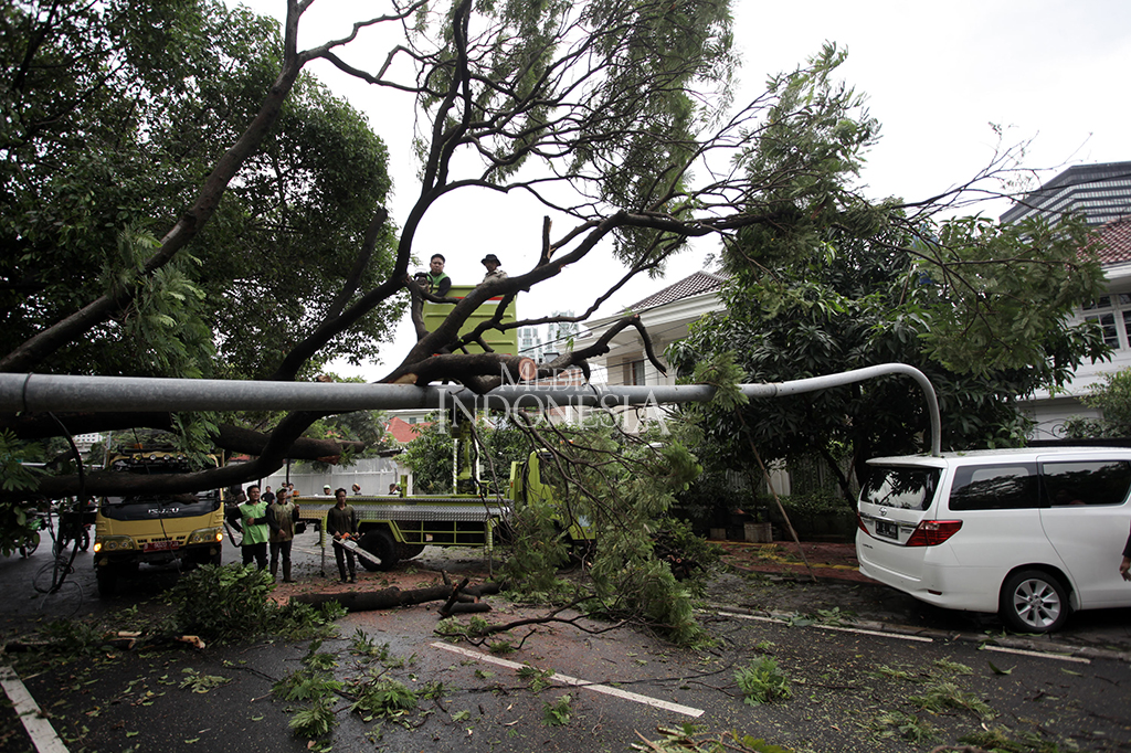 Petugas memotong pohon tumbang yang menimpa lampu penerangan jalanan umum (PJU) dan sebuah mobil di Jalan Purworejo, Menteng, Jakarta Pusat.