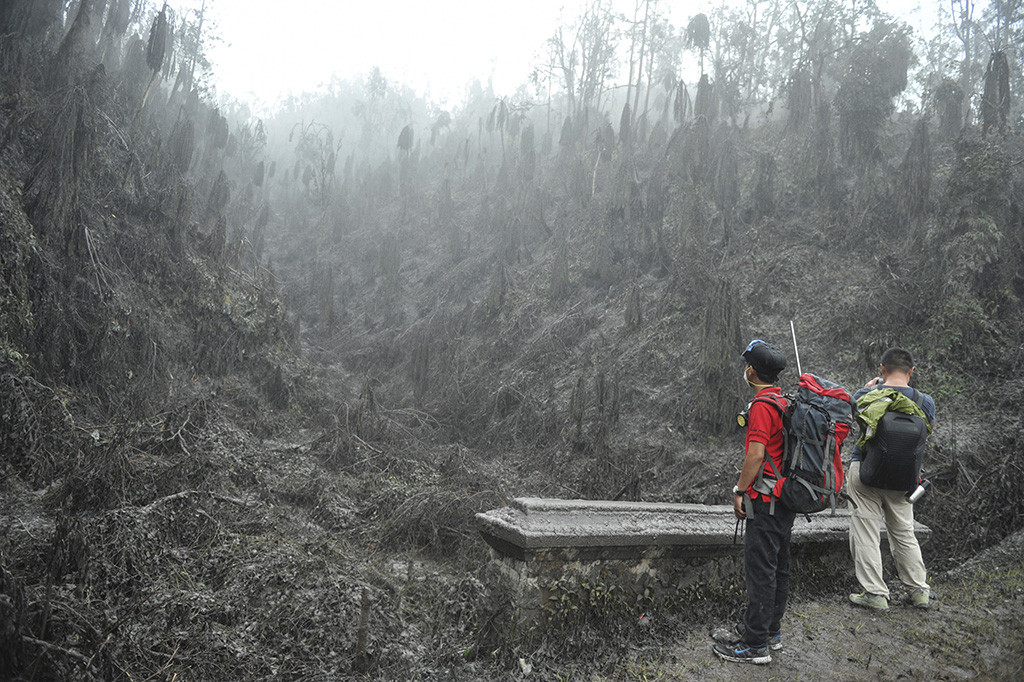 Relawan dari Bali Rumah Singgah Satwa meninjau pepohonan yang mati akibat abu vulkanis saat mencari hewan-hewan terdampak bencana Gunung Agung, di Sebudi, Karangasem, Bali.