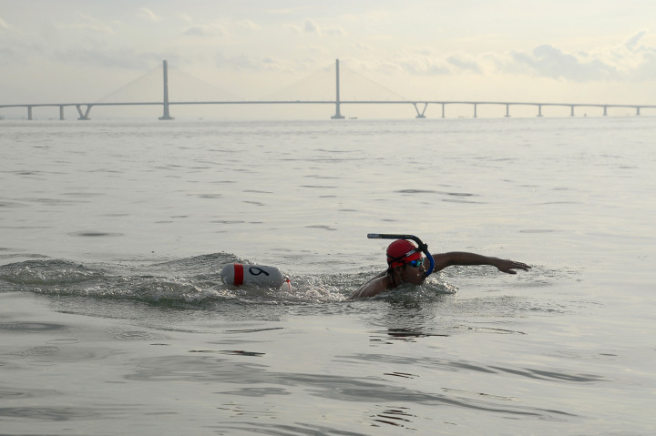 Seorang perenang melintas di samping Jembatan Suramadu (Surabaya-Madura).