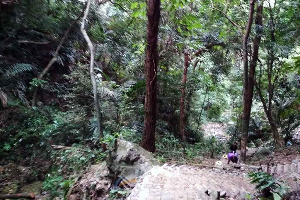 Kebanyakan jembatan akar di Negara Bagian Meghalaya berada di kaki bukit yang sulit dicapai. Akses menuju jembatan akar di Desa Mawkynrot telah dilengkapi dengan tangga untuk mempermudah perjalanan.
