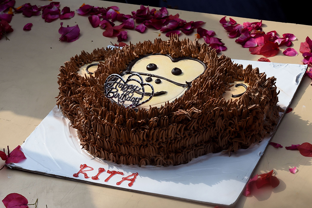 Direktur kebun binatang, Renu Singh, mengatakan, Rita akan memotong kue ulang tahunnya dan mendapatkan sejumlah hadiah.