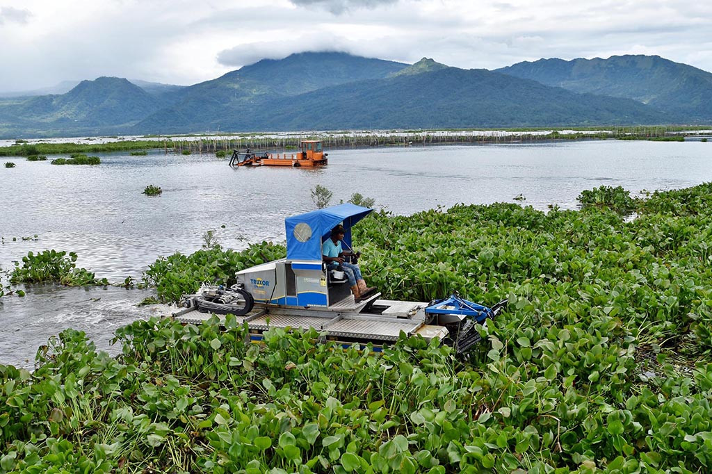 Namun, kini kondisi danau dipenuhi tanaman eceng gondok (Eichhornia crassipes) yang tumbuh dan menutupi hampir 70 persen area permukaan danau. Berbagai upaya dilakukan, baik pemerintah maupun masyarakat untuk membasmi tanaman gulma tersebut, namun tetap saja tanaman itu tumbuh dengan subur. 

