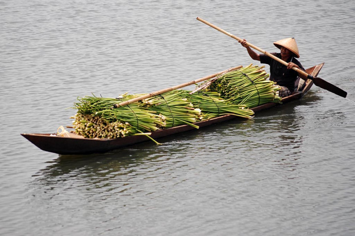 Kondisi itu mendorong sebagian warga yang berada di sekitar Danau Rawa Pening ikut turun tangan membantu pembersihan eceng gondok, dengan memanfaatkannya menjadi aneka produk kerajinan yang bernilai ekonomi. 