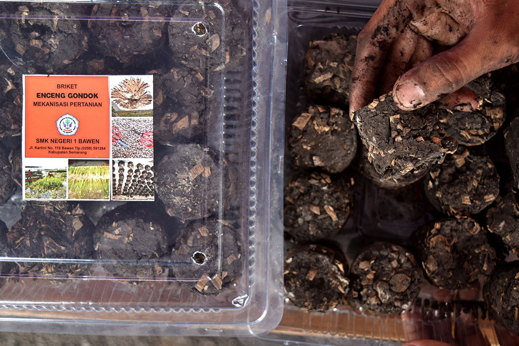 Bahkan kalangan siswa SMK Negeri 1 Bawen berhasil memanfaatkan tanaman gulma tersebut sebagai bahan bakar alternatif 'briket'.