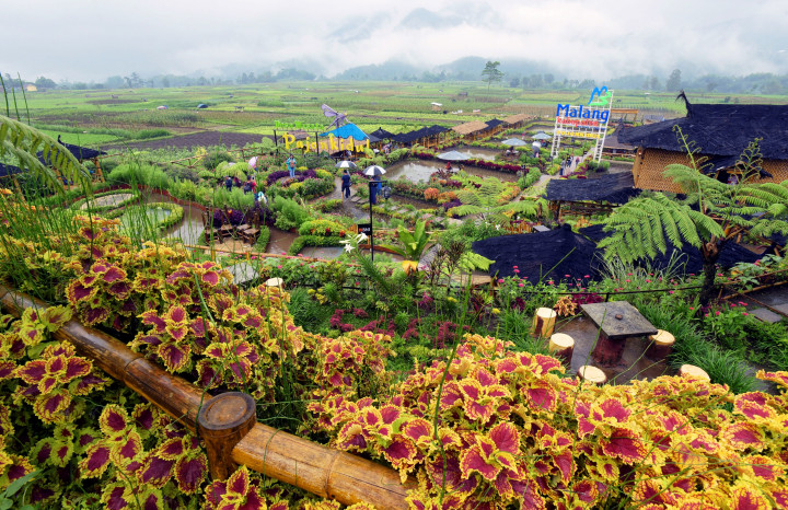 Bonus bagi pengunjung yang 'ngopi' di Cafe Sawah adalah pemandangan alam yang indah seperti ini plus udara sejuk segar khas pegunungan. 