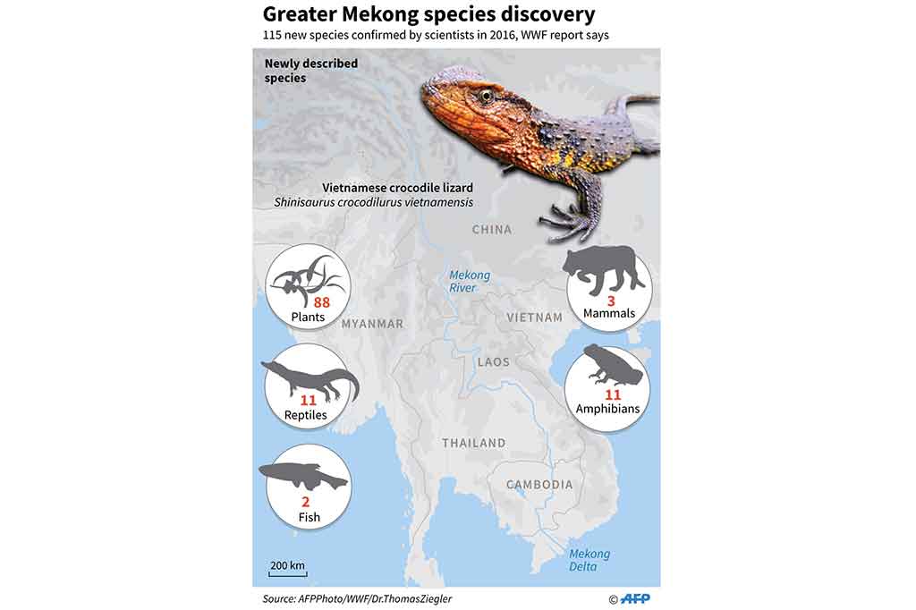 115 spesies baru ditemukan di Mekong pada 2016. Spesies tersebut termasuk 11 amfibi, dua ikan, 11 reptil, 88 tanaman dan tiga mamalia.