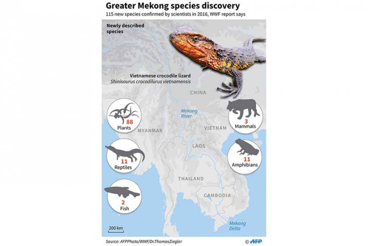 115 spesies baru ditemukan di Mekong pada 2016. Spesies tersebut termasuk 11 amfibi, dua ikan, 11 reptil, 88 tanaman dan tiga mamalia.