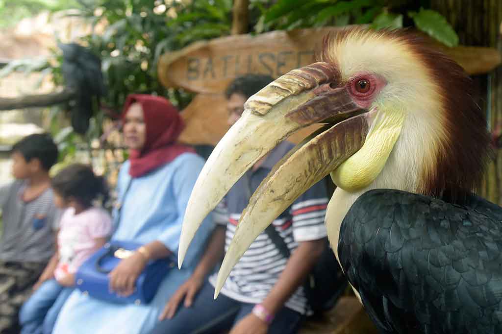Kebun binatang itu memiliki beberapa koleksi hewan dari beberapa habitat yang berbeda, namun sebagian besar berasal dari Asia dan Afrika. Binatang-binatang itu di antaranya adalah singa putih, kijang afrika, burung macau hingga berbagai reptil.