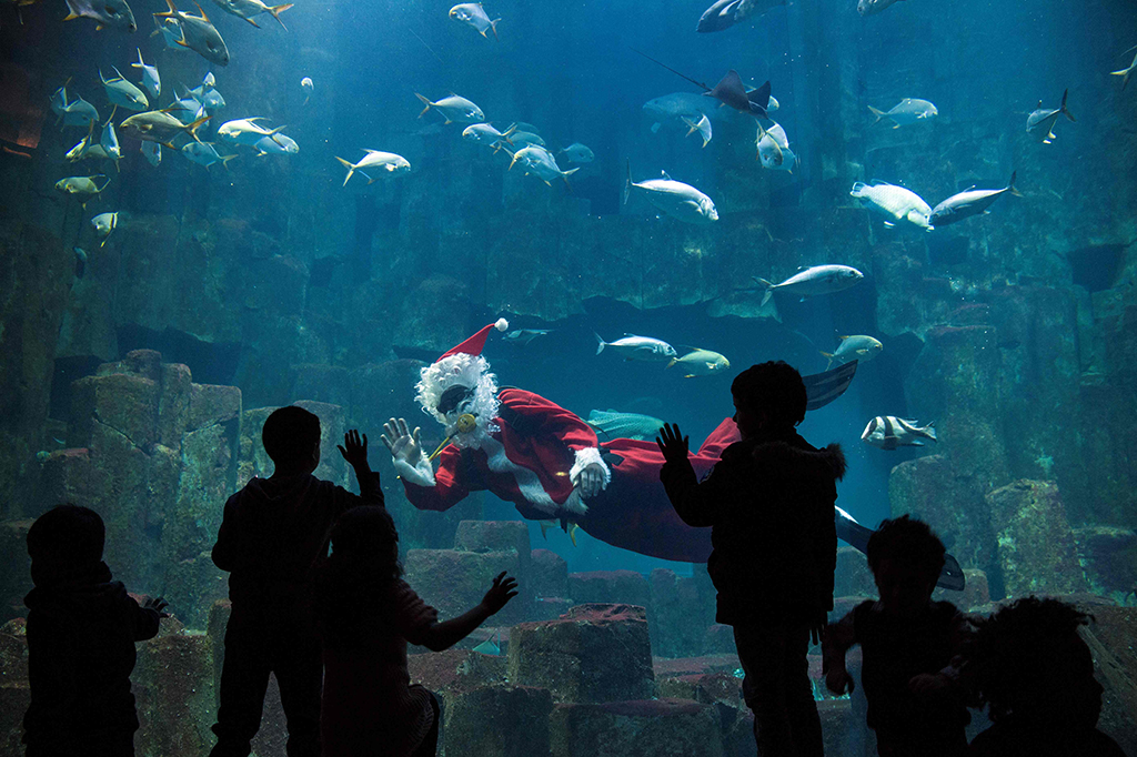 Di Paris, Prancis, Santa menghibur anak-anak dari dalam akuarium. AFP PHOTO / ALAIN JOCARD