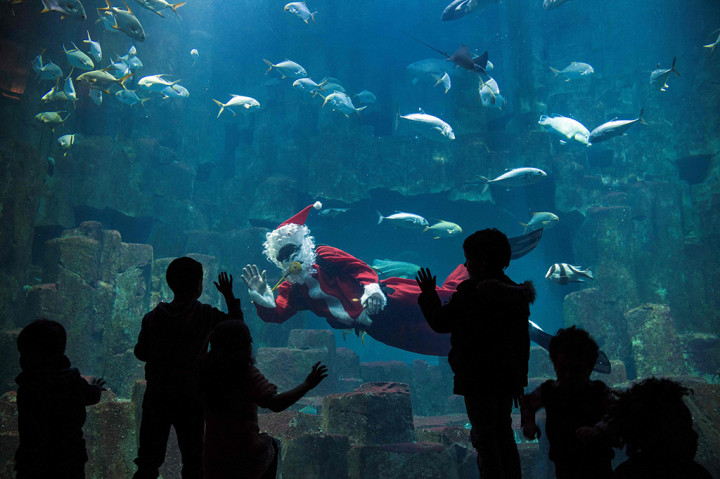 Di Paris, Prancis, Santa menghibur anak-anak dari dalam akuarium. AFP PHOTO / ALAIN JOCARD
