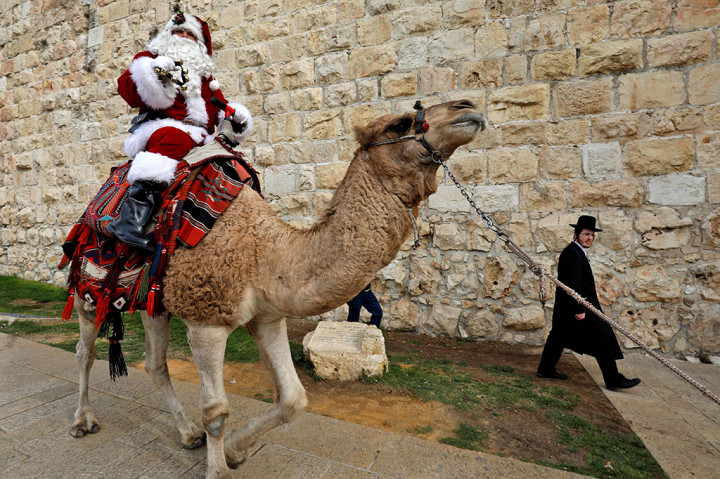 Seorang Santa mengendarai unta di sepanjang tembok Ottoman Kota Tua Yerusalem. AFP PHOTO / GALI TIBBON