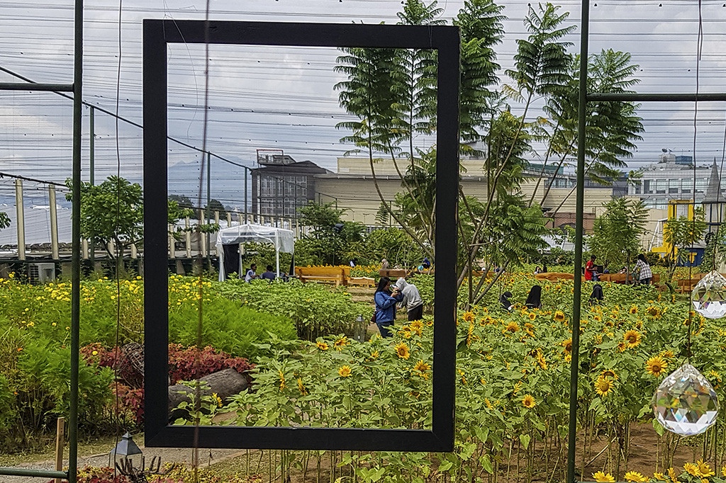 Di sini pengunjung tidak hanya dimanjakan oleh ribuan bunga matahari yang bermekaran, tapi juga bisa melakukan banyak kegiatan positif seru lainnya seperti, DIY Corner berisi workshop kerajinan tangan kekinian, menyantap makanan dan minuman yang beraneka ragam.