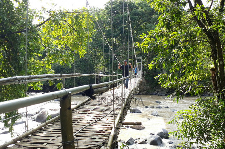 Sebelum ambruk, jembatan gantung ini memang salah satu daya tarik wisata tersebut. Sebelum memasuki kawasan wisata penangkaran rusa, pengunjung harus melintasi jembatan sepanjang kurang lebih 50 meter ini.
