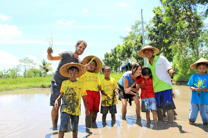 Sejumlah petani mengajari anak-anak dan wisatawan menanam padi di Kampung Omah Kecebong di Yogjakarta.
