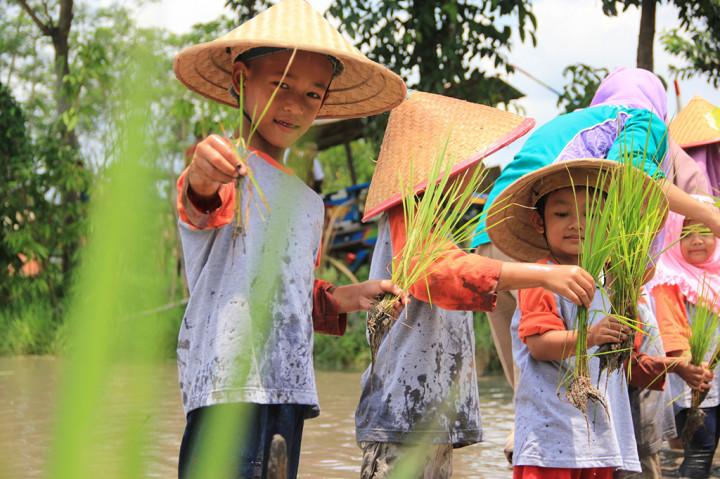 Kegiatan tersebut bertujuan mengenalkan proses pengolahan sawah dan penanaman padi pada anak-anak sejak dini.