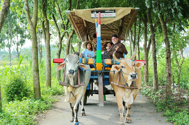 Selain itu, wisatawan juga bisa menikmati keindahan Kampung Omah Kecebong menggunakan delman sapi.
