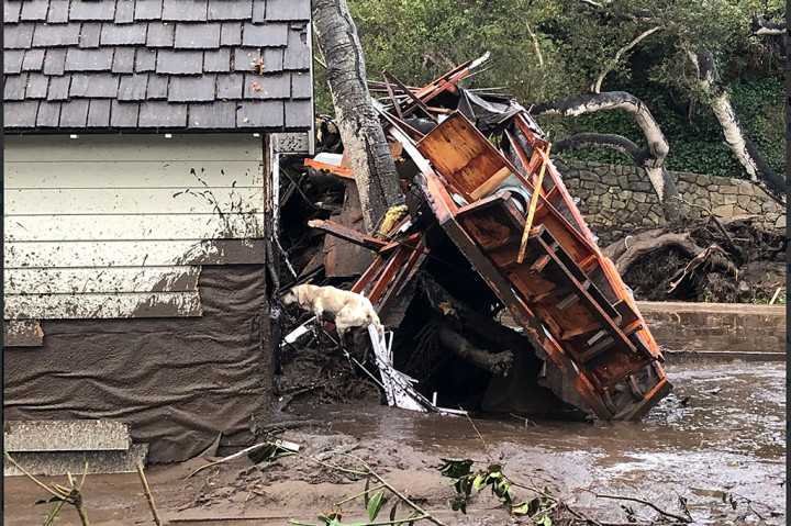 Petugas pemadam kebakaran mengerahkan anjing pelacak untuk mencari korban di rumah yang hancur diterjang banjir bandang.