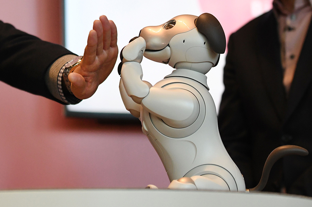 Aibo dilengkapi dengan CPU 64-bit quad-core, sensor sentuh di kepala, dagu, dan punggung, pengeras suara suara anjing, dan empat mikrofon untuk perintah suara.