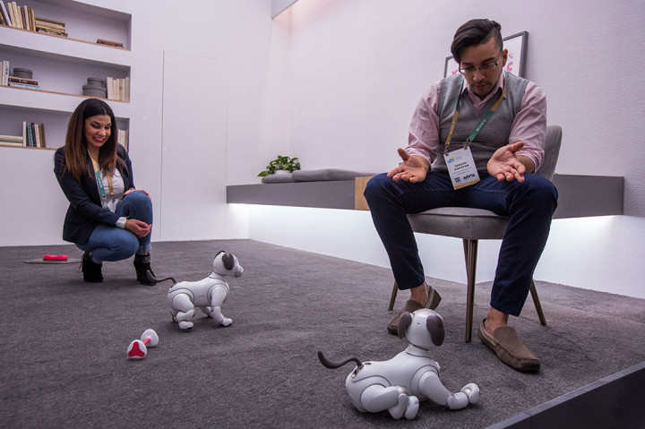 Sony mengatakan bahwa Aibo sangat mudah beradaptasi dengan lingkungan sekitarnya. Misalnya mencari si pemilik, mempelajari apa yang membuat si pemilik bahagia, dan secara perlahan-lahan menjadi terbiasa dengan lingkungan yang lebih luas.