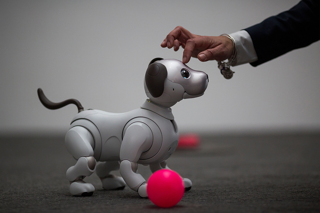 Selain itu, Aibo menggunakan aktuator kompak ultra (ultra-compact actuators) sehingga robot anjing tersebut dapat menggerakkan tubuhnya dengan 22 sendi yang sudah disediakan. Kedua mata Aibo menggunakan 2 panel OLED yang dapat menunjukkan berbagai macam ekspresi seperti mengedipkan mata.