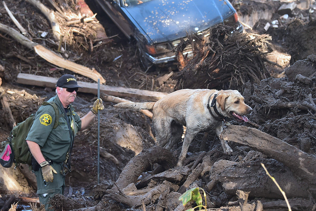 Sebanyak 18 orang dilaporkan meninggal akibat bencana ini. 