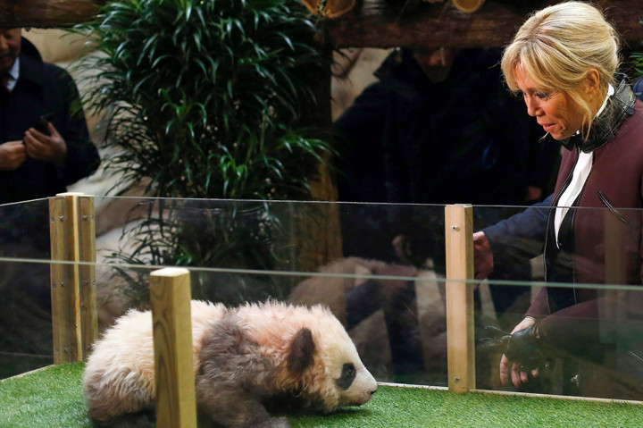 Nama 'Yuan Meng' diberikan oleh Brigitte Macron, istri presiden Prancis pada Desember 2017.