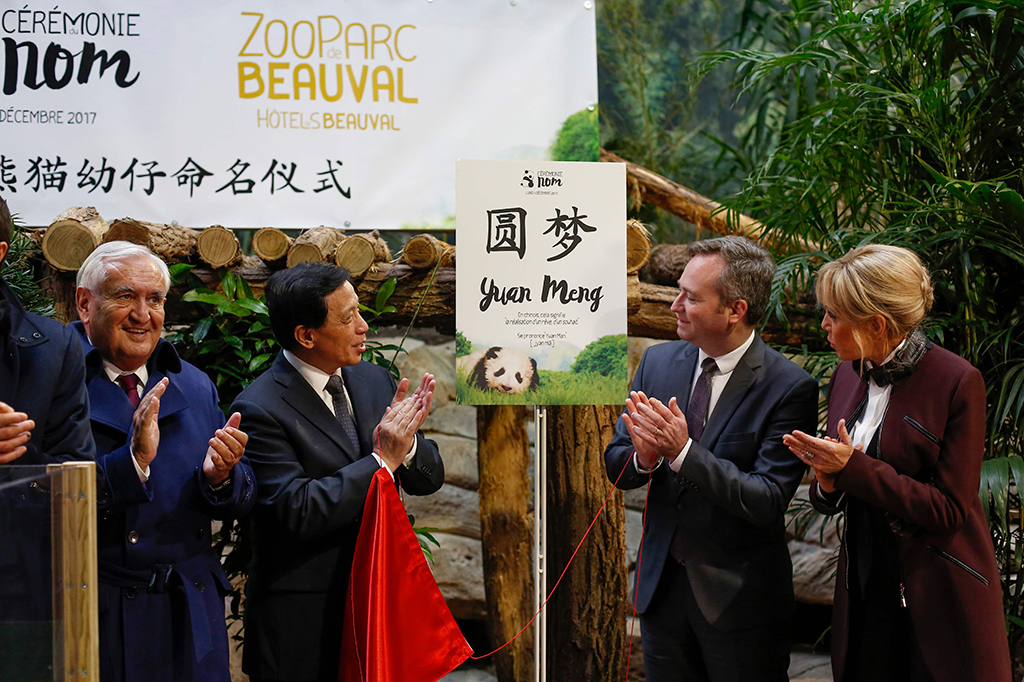 Dalam upacara pemberian nama bayi panda, Brigitte Macron mengatakan hewan ini merupakan simbol hubungan bersejarah antara Prancis dan Tiongkok. 