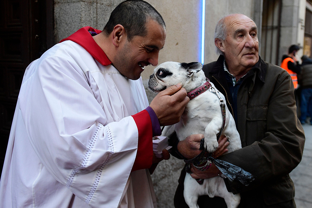 Pemberkatan hewan peliharaan ini sudah ada sejak abad ke-19 di Madrid, Kepulauan Balearic dan Burgos.