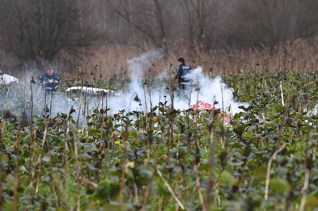 Akibat tabrakan, puing-puing dari dua pesawat jatuh dalam wilayah yang cukup luas di sebuah perkebunan di Kota Philippsburg, dekat perbatasan Prancis.