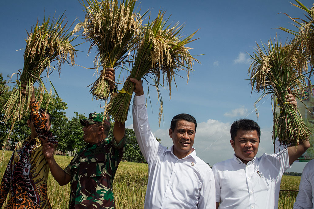 Menteri Pertanian Amran Sulaiman (kedua kanan) menunjukkan padi hasil panen saat menghadiri panen raya di Desa Plumbungan, Karangmalang, Sragen, Jawa Tengah, Rabu, 24 Januari 2018. ANTARA FOTO/Mohammad Ayudha