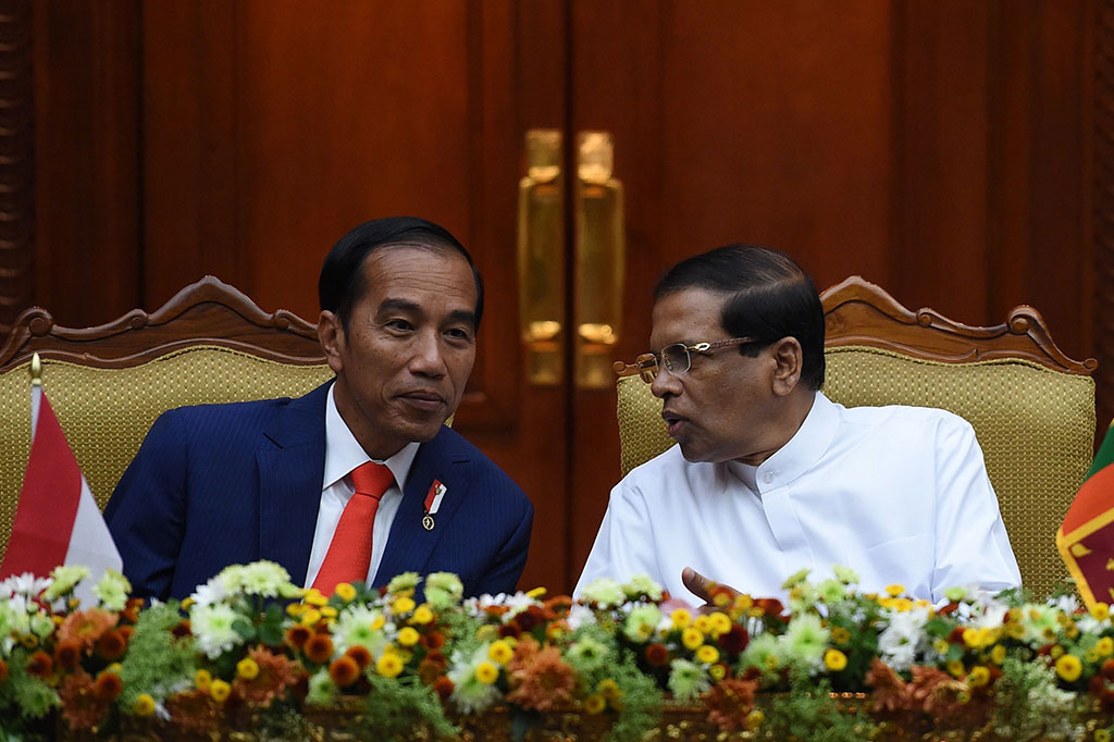 Selain itu, Jokowi dan Sirisena juga memberikan perhatian besar pada kerja sama pembangunan kapasitas dan kerja sama Indo Pasifik. Jokowi mengusulkan kerja sama dalam penanganan bencana dan pendidikan.