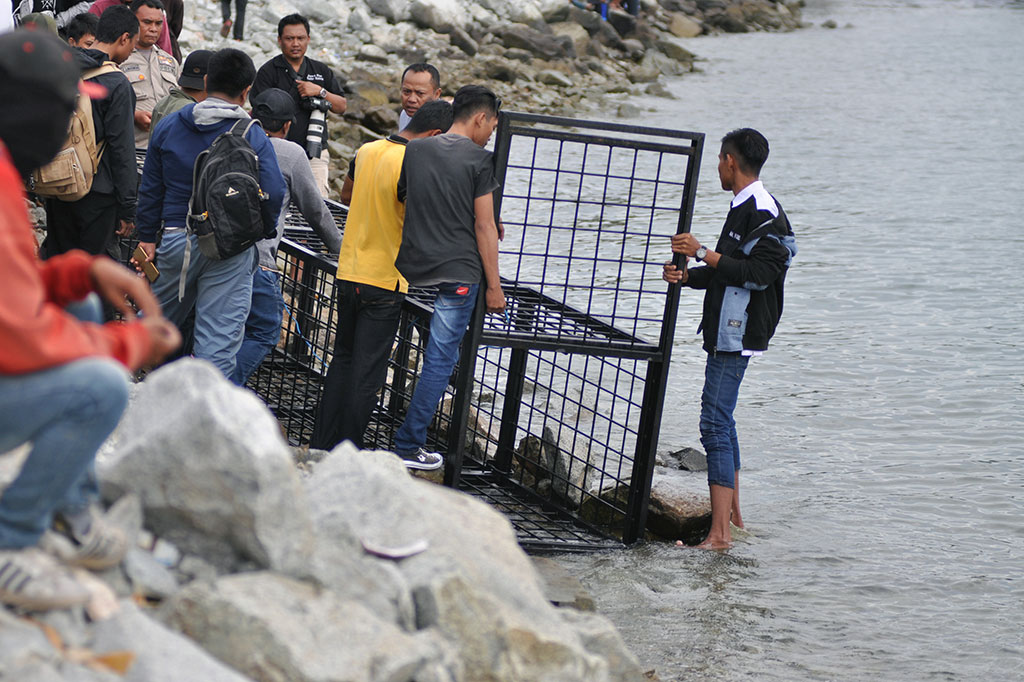 Relawan menempatkan perangkap di tepi pantai sebagai upaya penyelamatan buaya yang terjerat ban.