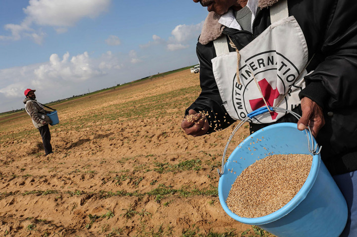Meski beberapa bagian masih harus dibersihkan dari amunisi sisa konflik antara Israel dan Palestina, Guislain Defure, Kepala ICRC di Gaza, mengaku kembalinya lahan petani ialah hasil negosiasi yang panjang dan alot.